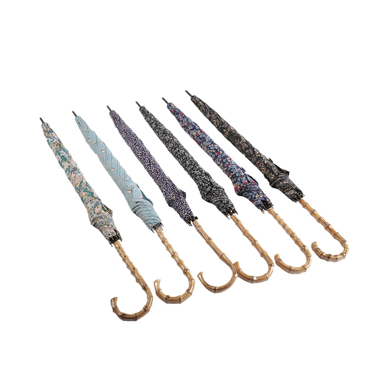 UV 입히는 똑바른 umbrella-0E6B0304를 가진 아름다운 외관 견주